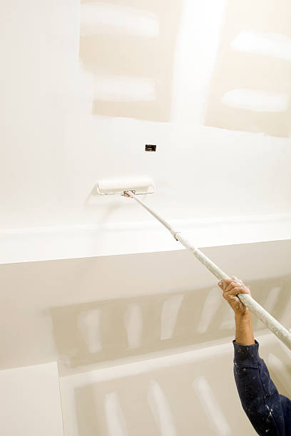 Best Water-Damaged Drywall Repair  in Allouez, WI